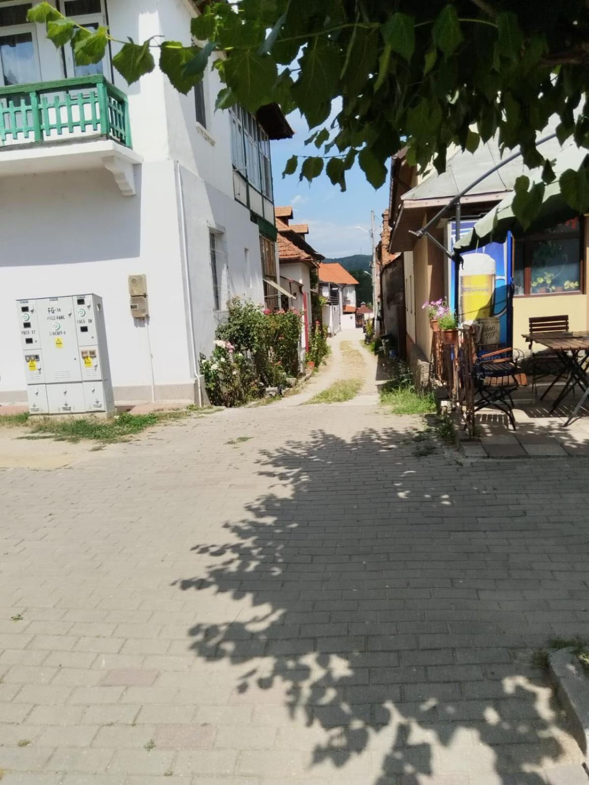 Urbanist Guest House Кэлимэнешти Экстерьер фото
